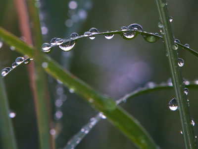 It`s water droplet day.
