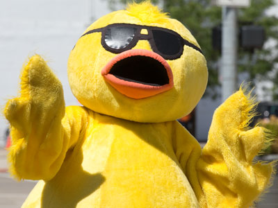 Your daily bird photo.