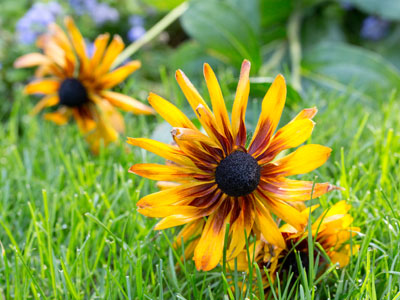 This is the beginning of the end.  I can feel it.