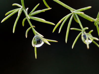 The less there is in a photo, the better it is.