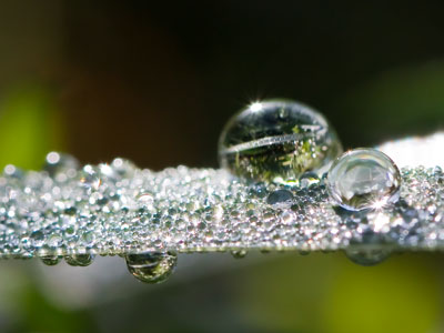 It was a peaceful morning in the park, until a mercenary photographer arrived with a bunch of squirming children.