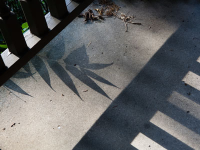 No, I didn`t accidentally push the shutter button.