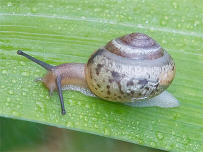 In 4,475 days of picture-taking, this was new to me.