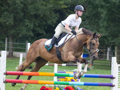 The horse with the two-tone mane had serious discipline problems and I was worried something would go wrong.