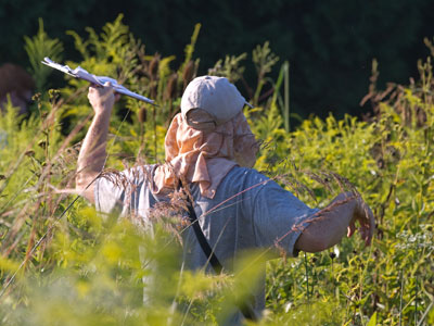 An intrepid researcher (compare to August 2 above).
