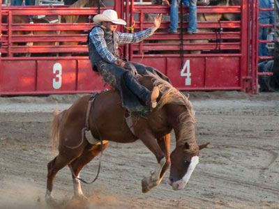 Rodeo riding is a really good way to get killed.