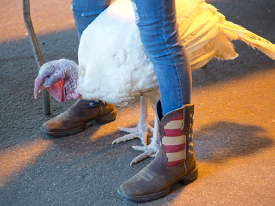 Somewhere in America.