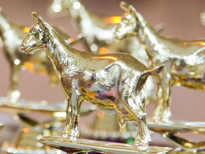 Solid gold.  Really.