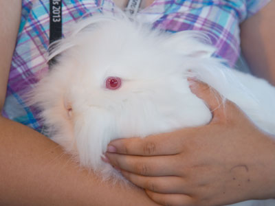 `Snowbunny`s ready to go home.  It`s been a long week.`