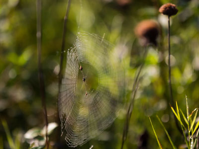 I came home with good photos and mosquito bites.