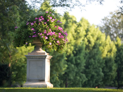 I come here so often they should charge me rent.