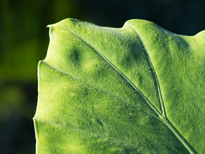 Water, water everywhere.