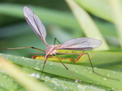 It kind of looked like it could hurt me, but I hung in there.