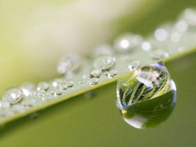 Like a walk-off home run in baseball, I sometimes take pictures like this and think, `Okay, I can go home now.`