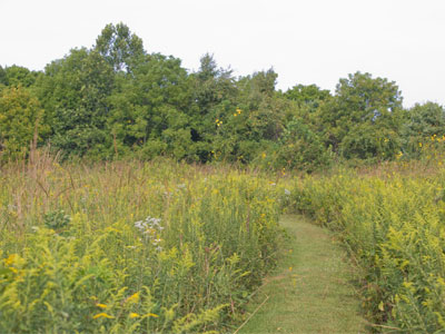 Where do you want to go today?  I want to go here.