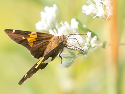 It was a perfect morning on the prairie.
