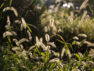 The renovation also means that the City of Dayton will close Garden Station in about six weeks.