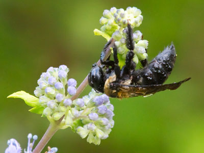 As you get older, it`s hard to get started in the morning.