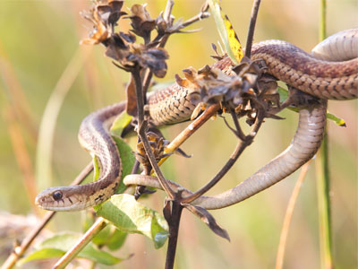 Why I go outside with my camera day after day.