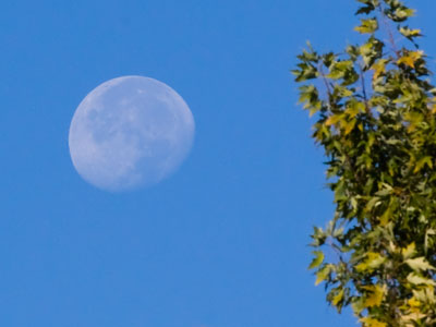 Moony, moony morning.