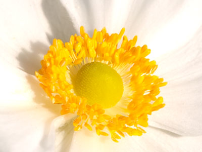 Endless summer ends tomorrow.