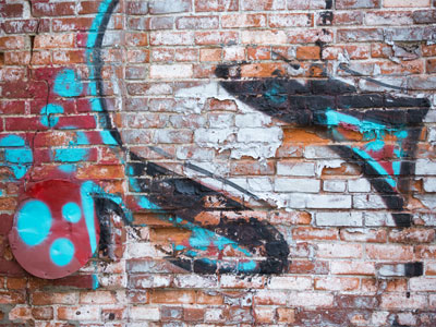 DANGER:  Morning Glories!