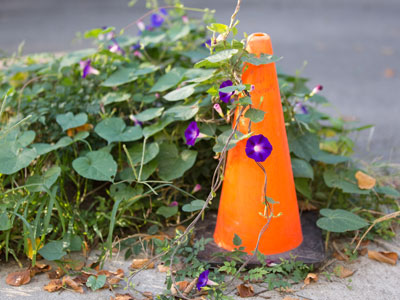 Things are difficult in the Oregon District these days.