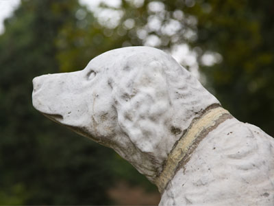 Nothing much to smile about.