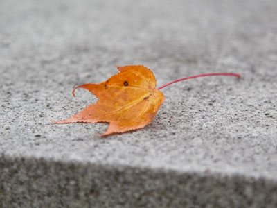 And from the midst of the clouds, there appeared a city.