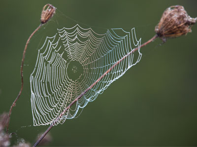 This is worth getting up early for.