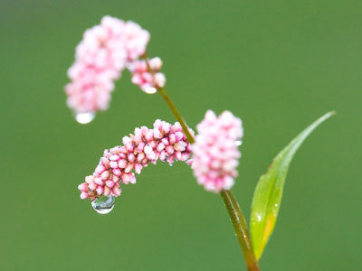 There`s very little background clutter in my photos.