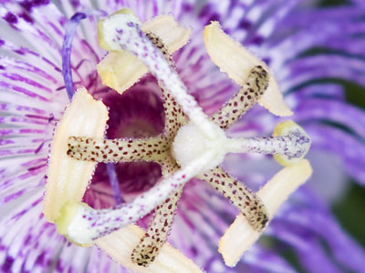 Complexity upon complexity.