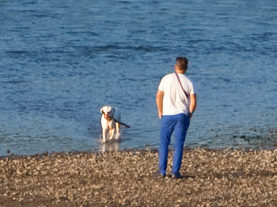 One wet dog, coming up!