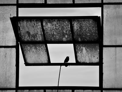 So long, Vivian Maier, I can`t believe your song is gone so soon.