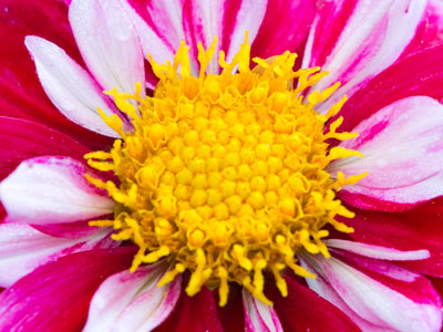 I`m in blissful denial about the end of summer.