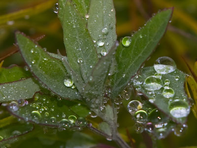 A woman shouted at me from the parking lot, `DID YOU SEE THE SUNRISE?`  Uh, no, I was late this morning.