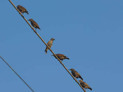 Follow your own vision.