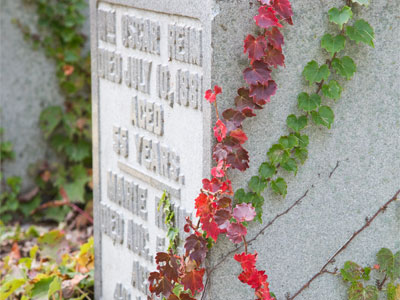 The seasons have come and gone for 135 years.