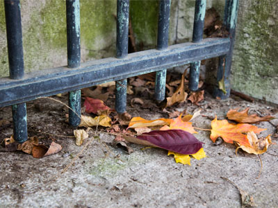 Everything must change.  Nothing stays the same.  BERNARD IGHNER