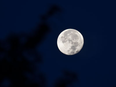 Why go to Mars when there`s a wasteland much closer?