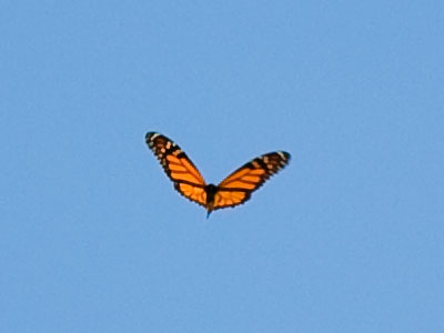 I`ve got such a long way to go to make it to the border of Mexico.  CHRISTOPHER CROSS