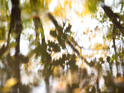 The seasons pass by in a blur.