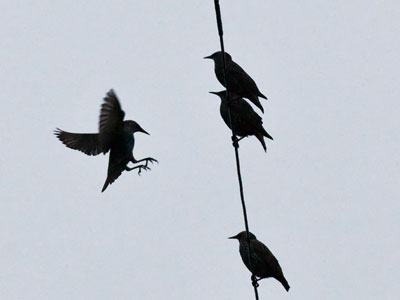 That one friend who always talks about exercise.