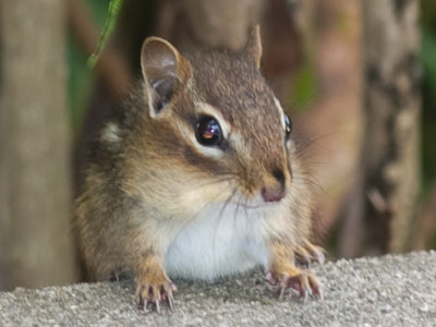 There wasn`t much wildlife out there today.