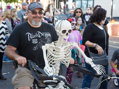 The bicycle held just himself and Immortality.