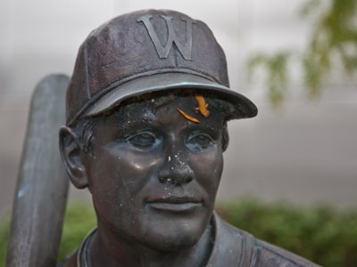 Leaves get EVERYWHERE.