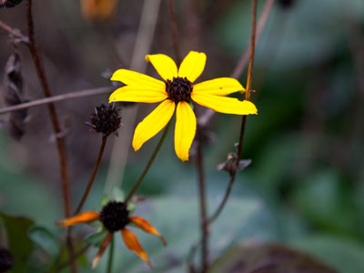 Time, time, time, see what`s become of me. PAUL SIMON