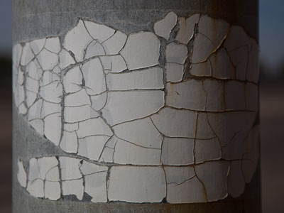 Pictures I take when I have 15 minutes.