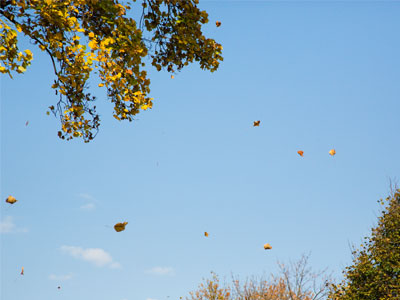 Life is a one-way trip.