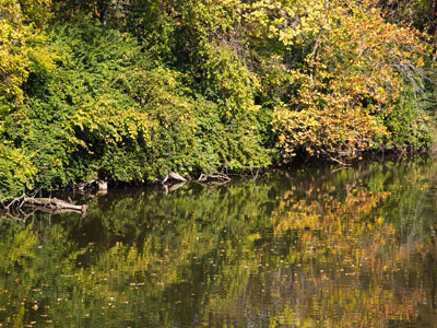 It wasn`t warm -- it was hot today.  I`m not complaining.